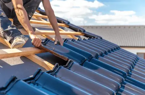 Couverture - Les Fins